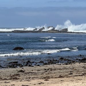 Meet your Posher, Heidi